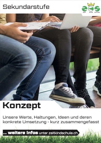 ZKS Privatschule Luzern Sekundar Konzept